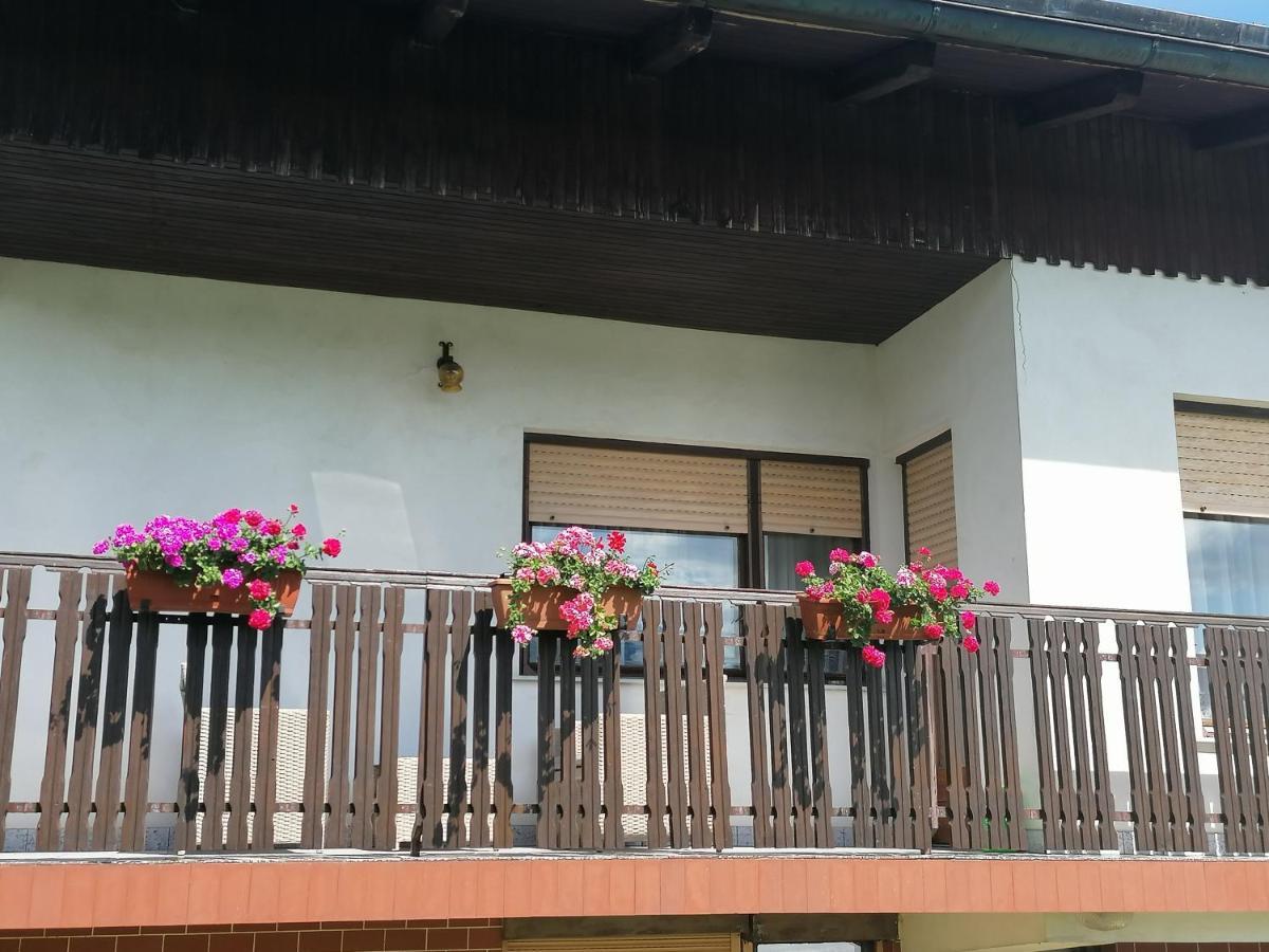 Apartments Novak 류브노 외부 사진